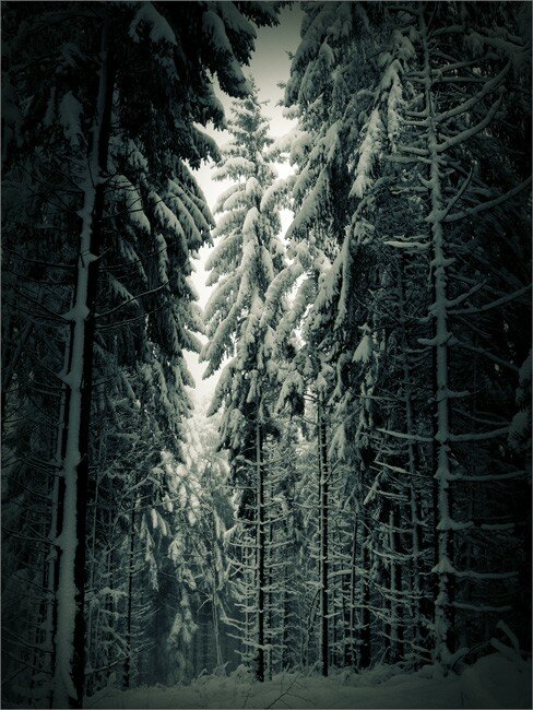neige_22