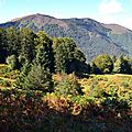 Le Pic Soulaing depuis Barlagne...