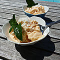 Yaourt glacé au melon et à la noix de coco (frozen yogurt)