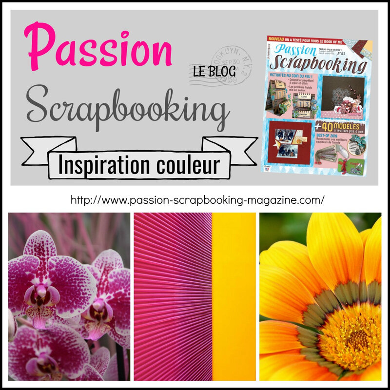 05 MAI 2020 inspiration couleur