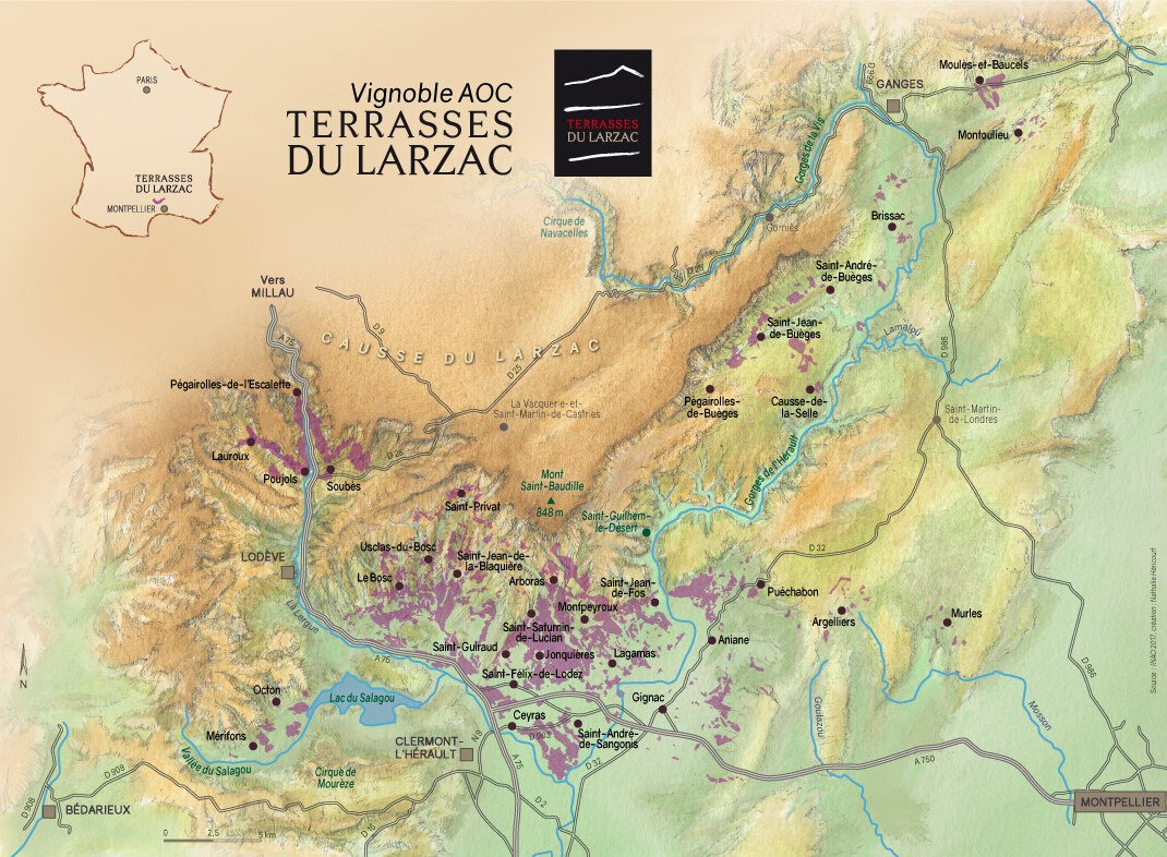 Vin Petit Loup 2022 AOC Saint Guilhem Le Désert - Chai N°5