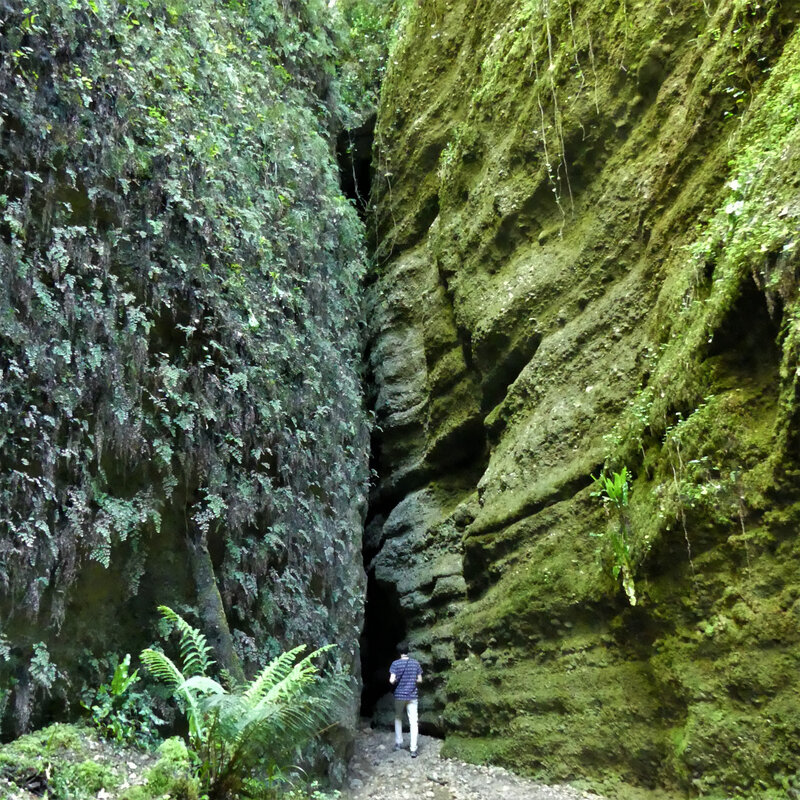 P1120734 (2)