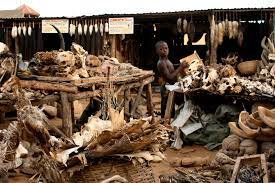 LE MARABOUTAGE AFRICAIN SERT VOTRE CAUSE DU MEDIUM KOUMADJA