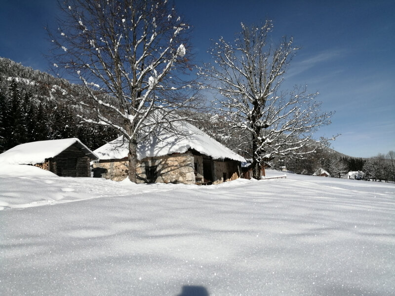 Creux de Lachat 19 janvier 2021 (14)