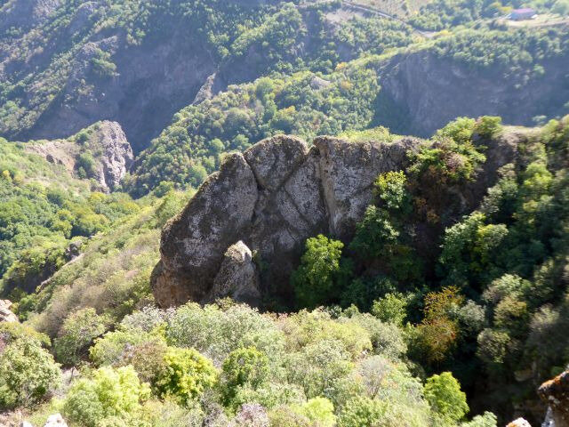 a26