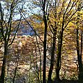H�tres en automne...