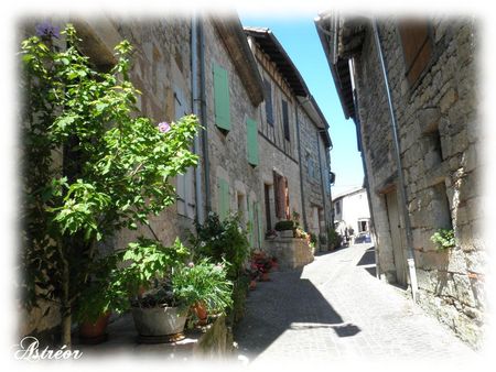 castelnau_de_montmirail5