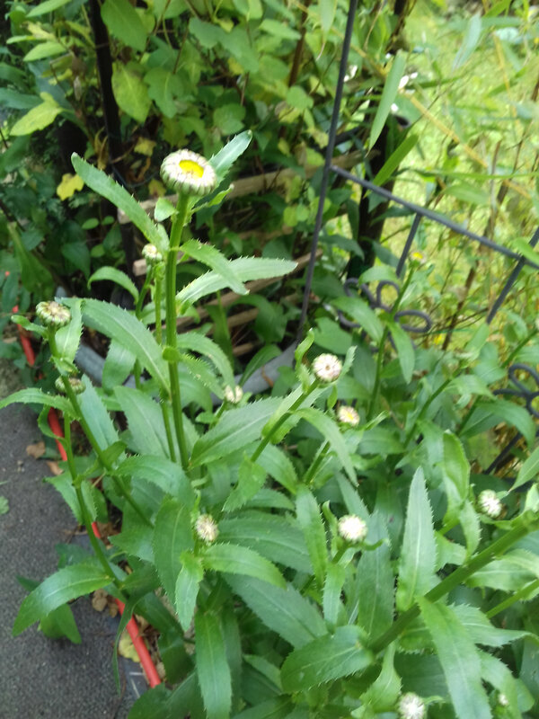 20190622_113523