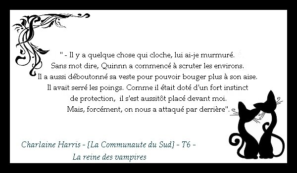 La Citation Du Mercredi 12 03 14 Catdreams