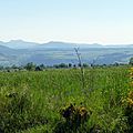 Au fond, la montagne à deux bosses, c'est le Mézenc
