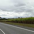 DSC08098