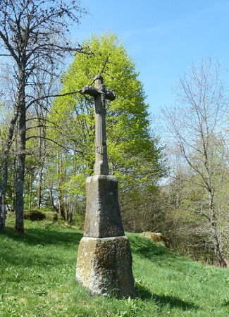 P1010269