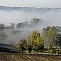 Brouillard de Lomagne
