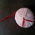 Detecteur du poison +229 91 11 33 22