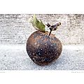pomme