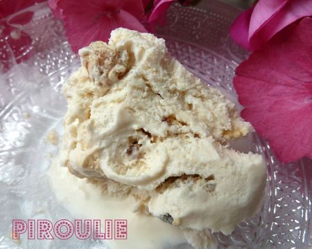 nougat glacé (10)