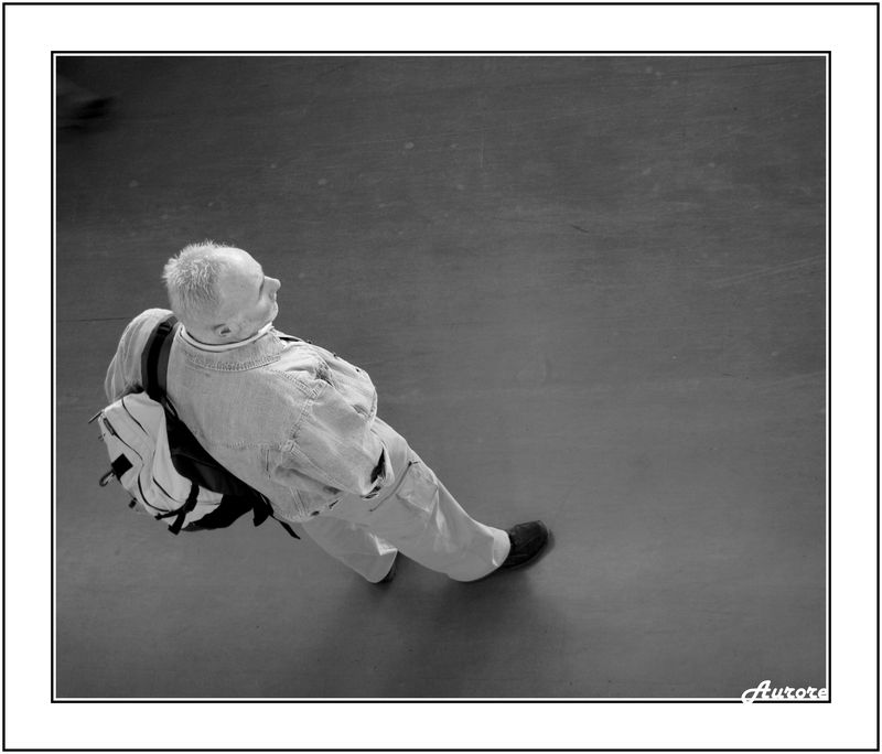 DSC08537bis