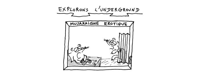 underground musaraigne