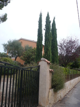 maison___vendre_11