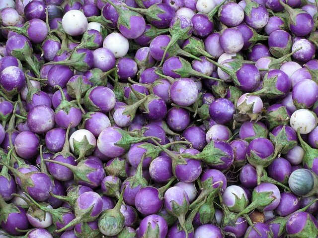 blog viet6