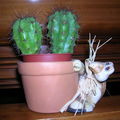 petit pot de cactus