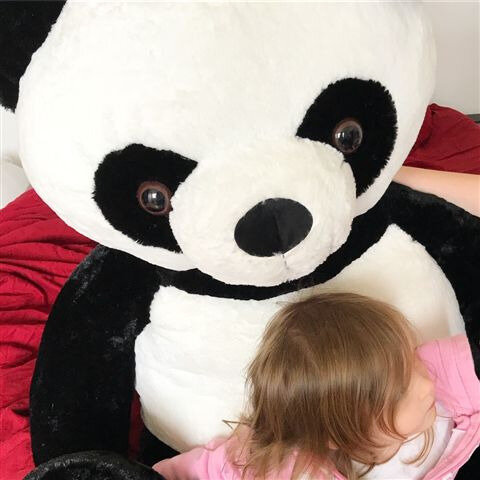 Panda géant ©Kid Friendly