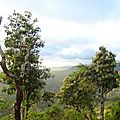 DSC03241