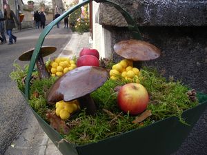 DSCN1978