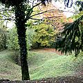 IMG_0824 - Copie