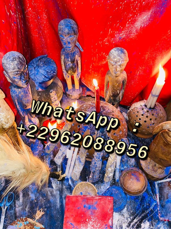 6d425cf9-8167-4a04-8d8c-791fd0f733dd