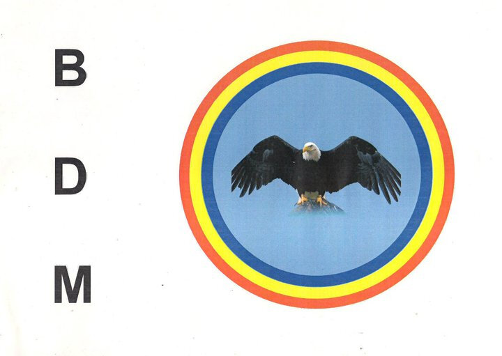 Logo BDM