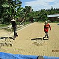 IMG_1838 (Copier)
